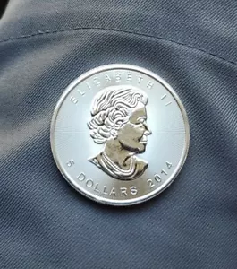 2014 Canadian Maple Leaf 1 oz .999 Fine Silver $5 BU Proof Like Coin BUY IT NOW! - Picture 1 of 8