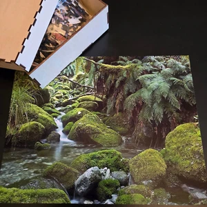 Mossy rocks with stream green forest water emerald color - Picture 1 of 1