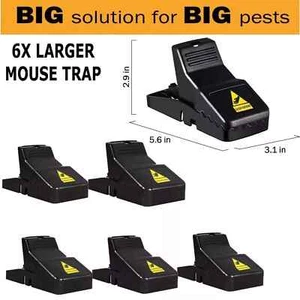 6 Pack Mouse Traps Rat Mice Killer Snap Trap Power Rodent Heavy Duty Pest Trap - Picture 1 of 8