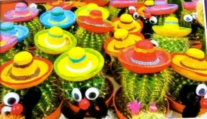 Rompecabezas LINDO Y DIVERTIDO CACTUS 350 piezas 18,25" x 11" Puzzlebug - CraZArt - Imagen 1 de 5