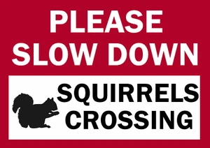 Please slow down squirrels crossing metal sign farm gate wall fence road tin - Picture 1 of 1