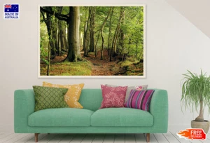 (Laminated) Deep Tree Forest Photograph 91x61cm - Picture 1 of 6