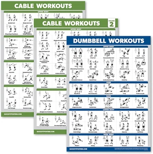 3 Pack - Cable Machine Workout Posters Volume 1 & 2 + Dumbbell Exercise Chart (L - Picture 1 of 12