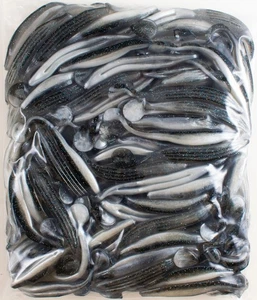 ZOOM SWIMMIN' SUPER FLUKE 100 PACK BULK 5" 116-109 SMOKIN SHAD DN1319 - Picture 1 of 2