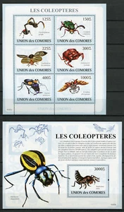 Comoros Comores 2009 MNH Beetles 6v M/S 1v S/S Coleopteres Insects Stamps - Picture 1 of 1