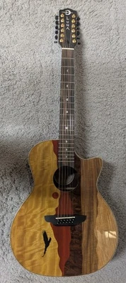 Guitarra Eléctrica Acústica Luna Vista Eagle 12 Cuerdas Madera Tropical con Estuche Rígido Foto 1 de 4