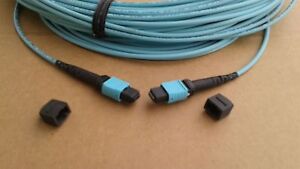 10 m   MTP (MPO) 50 /125 Multimode 12 Strand Fiber Optic Cable female to female