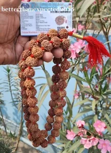 7 Mukhi Rudraksha / 7 Face Rudraksh Mala Rosary 18-20 mm Nepal Beads - Certified - Picture 1 of 5