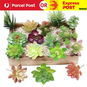 12X Mixed Artificial Succulents Plant Fake Plants Garden Home Office Decor Decal - Picture 1 of 8