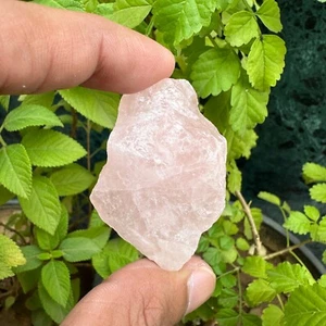 Certified Natural Rose Quartz 195 Ct Unheated Crystal Facet Loose Rough - Picture 1 of 5