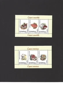 Rumänien 2003 Pilze Pilze Pflanzen Natur 2 postfrisch - Bild 1 von 2