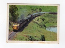 Sanitarium Australia #16 Gold Coast MotoRail Express, Murwillumbah, NSW 