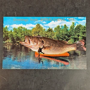 Vintage Exaggerated Largemouth Bass Chrome Postcard Rhinelander, WI - UNPOSTED - Picture 1 of 2