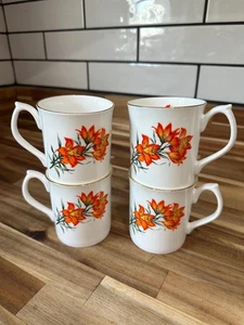 4 tazze vintage Pairie Lily - JKS Elizabethan Fine Bone China emblema del Saskatchewan - Foto 1 di 13