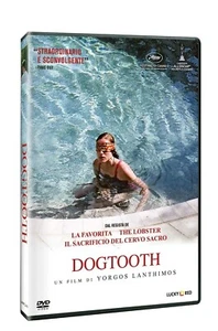 DOGTOOTH DVD NUOVO - Foto 1 di 1