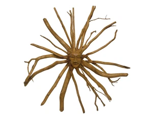 Medusa Teak Tree Spirit SUN GODDESS Face Crafted Handmade Mask Teak Root Tiki 34 - Picture 1 of 4