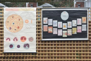 vintage educational school poster old canvas teaching diagrams x2 - FREE POSTAGE - Picture 1 of 12