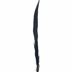 10" to 20" Lady Amherst Pheasant Side Tail Feather - Navy - Bild 1 von 3