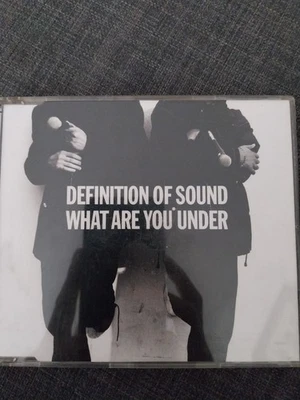DEFINITION OF SOUND  Cd maxi  WHAT ARE YOU UNDER - Bild 1 von 2