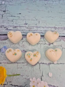 Set of 6 Heart Shaped Eden Juicy Apple Scented Wax Melts - Picture 1 of 2