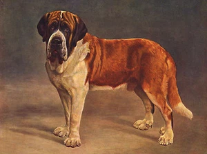 SAINT BERNARD LOVELY IMAGE OF A STANDING DOG ON GREETINGS NOTE CARD - Picture 1 of 1