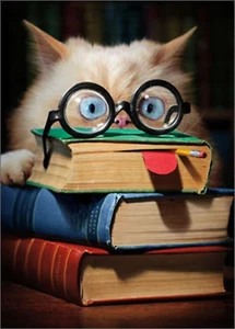 Grußkarte zum Abschluss - Katze mit Buchgesicht - Bild 1 von 2
