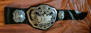 WWE ECW Championship Replik Titel Gürtel FIGUREN SPIELZEUG CO. Kinder - Bild 1 von 7