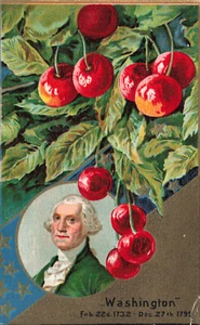 RETRATO POSTAL CUMPLEAÑOS GEORGE WASHINGTON VINTAGE Y CEREZAS 013022 R - Imagen 1 de 2