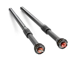WP APEX PRO 6500 Cartridge für KTM Duke 125/390 Husqvarna 401 MY2024 - Bild 1 von 1