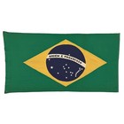 Vintage Sewn Cotton Brazilian Flag Distressed Cotton Antique Brazil Textile Art