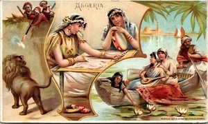 Tarjeta comercial de café Arbuckle Bros No. 41 escenas culturales de Argelia c.1890s 25449 - Imagen 1 de 2