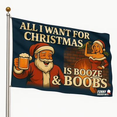 Todo lo que quiero para Navidad es alcohol y bebés bandera divertida pancarta de vacaciones de Santa Foto 1 de 4