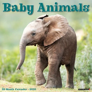 Baby Animals 2025 calendario da parete 12"" x 12"" (spedizione gratuita) - Foto 1 di 5