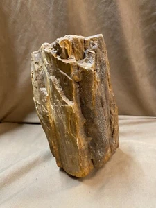 Tronco MADERA PETRIFICADA 6x3x3 - Imagen 1 de 7