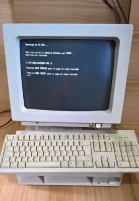 IBM PS/1 Type 2133 Desktop PC Computer mit Display und Tastatur DOS 386SX - Bild 1 von 4