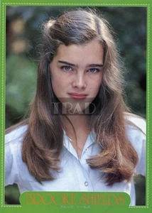 BROOKE SHIELDS / LEIF GARRETT 1981 JPN Picture Clipping 8x11 #zs/yi - Picture 1 of 2