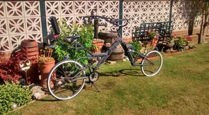 custom beach cruiser bike extra large mountain bike with sturmey archer 3 speed - Picture 1 of 11