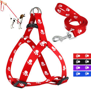 Small Dog Control Harness with Leash set Step in Walk Collar Safety Strap Vest 