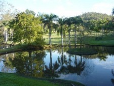 Gold Coast Hinterland Theme Parks Accommodation Easter School Hiolidays