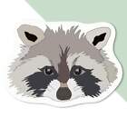 'Racoon Head' Decal Stickers (DW027706)