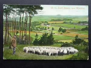 South Downs WORTHING Shepherd & Flock of Sheep c1921 Postcard by Valentine - Picture 1 of 2