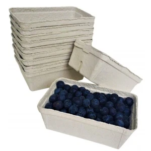 Nutley's Fruit Punnets Fibre Biodegradeable Compostable Recycled 250g - Picture 1 of 3
