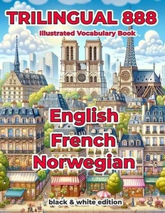 Trilingual 888 English French Norwegian Illustrated Vocabulary Book: Help your c - Picture 1 of 1
