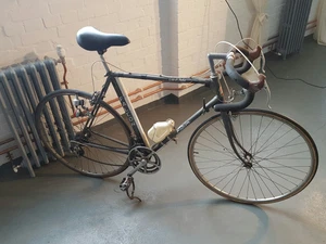 Vintage Falcon Giro d Italia racing bike 23 inch - Picture 1 of 8