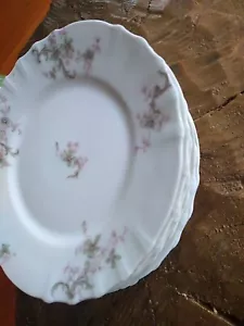 Theo Haviland Limoges France 5+1 Lunch Salad Plates purple flowers - Picture 1 of 13