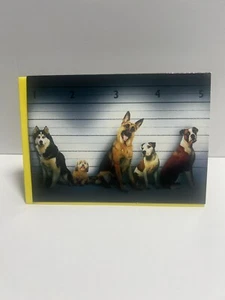Cute Dog Family Birthday Greetings Card By Avanti Press - Picture 1 of 2
