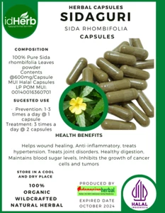 {idHerb} KAPSEL SIDAGURI - SIDA RHOMBIFOLIA NATUR BIO KRÄUTER FRISCH - Bild 1 von 4