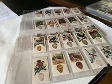 LYONS Maid BIRDS & THEIR EGGS Full Set