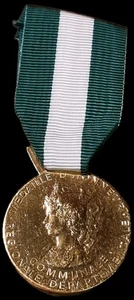 Medaglia d'onore - Foto 1 di 2