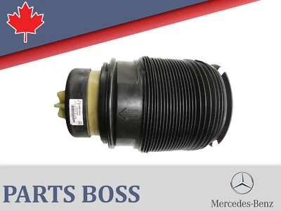 Mercedes CLS550 CLS63 E400 E550 E63 2010-2018 OEM suspensión neumática resorte trasero derecho Foto 1 de 4
